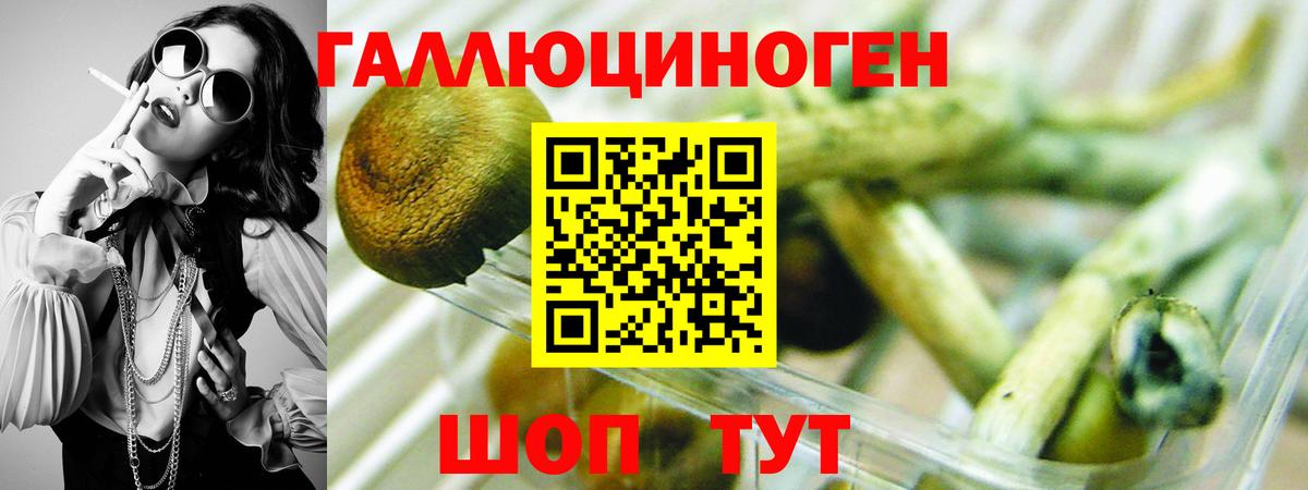 Псилоцибиновые грибы мицелий  Вход с VPN  Нефтеюганск 