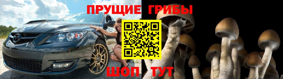 Галлюциногенные грибы GOLDEN TEACHER Нефтеюганск